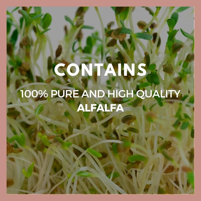 Remedy’s Nutrition Alfalfa - 1000 mg 60 Vegan Capsules Herbal Dietary Supplement - Two Month Supply