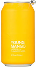 United Sodas of America Young Mango Soda No Artificial Flavor 12 Fluid Ounce (Pack of 12)