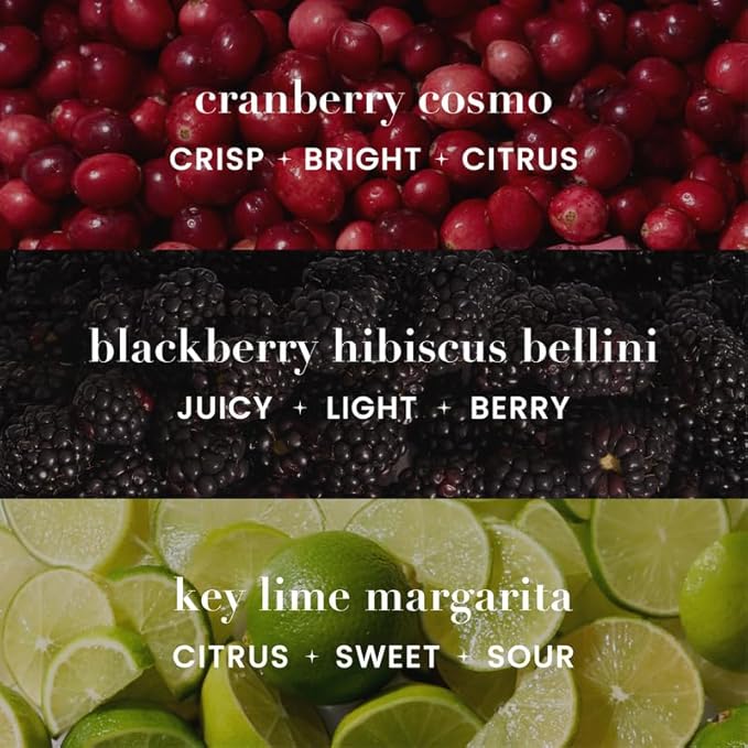 Mingle Mocktails - Variety Pack Blackberry Hibiscus Bellini Cranberry Cosmopolitan Key Lime Margarita - Premium Non Alcoholic Cocktails 12 FL OZ Cans (Pack of 12)