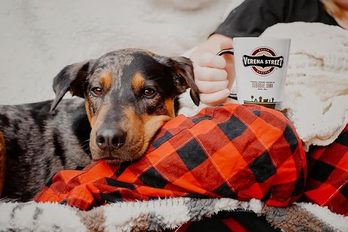 Verena Street 5 Pound Flavored Whole Bean Coffee Hazelnut Medium Roast Rainforest Alliance Certified Arabica Coffee