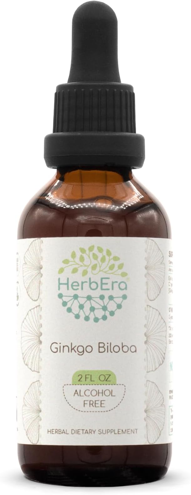 HerbEra Ginkgo Biloba B60 Alcohol-Free Herbal Extract Tincture Concentrated Liquid Drops Natural Ginkgo Biloba Dried Leaf 2 fl oz