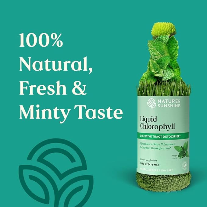 Nature's Sunshine Liquid Chlorophyll - Immunity Support Detox &amp Cleanse Chlorophyll Liquid Drops with Spearmint Oil Natural Energy Boost Internal Deodorant - 16 Fl Oz