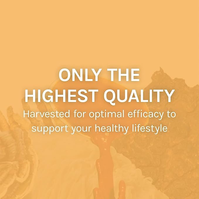 Host Defense Mesima Capsules - Herbal Antioxidant Activity &amp Immune System Support Supplement - Mushroom Supplement to Support Balanced Immune Response - 60 Capsules (30 Servings)*