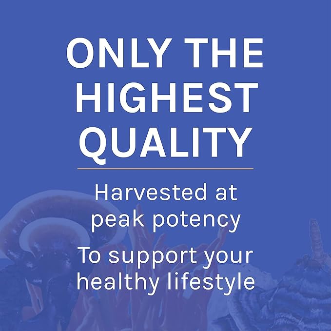 Host Defense Stamets 7 Mushroom Powder - 7 Species Blend - Mushroom Supplement for Immune Support with Royal Sun Blazei Cordyceps Reishi Maitake Lion's Mane Chaga &amp Mesima - 7 oz (133 Serving