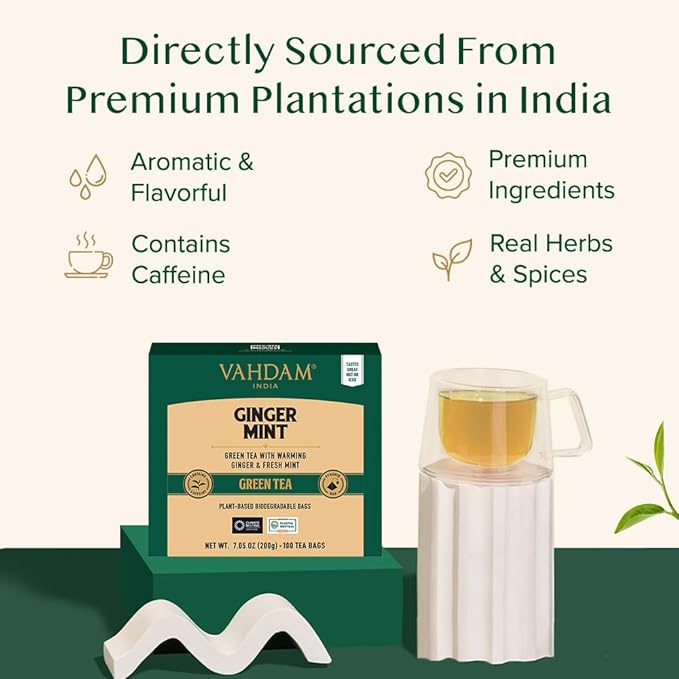 VAHDAM Ginger Mint Green Tea Bags (100 Count) High Grown Green Tea with Raw Ginger | Medium Caffeine | Non GMO Gluten Free | Mint Tea Bags | Resealable Ziplock Pouch