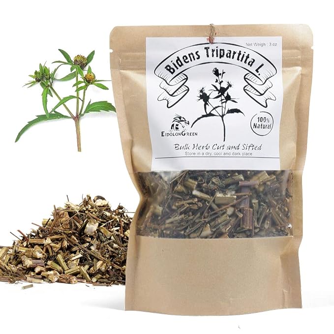 EidolonGreen [China Medicinal Herb] Bidens Tripartita(Bidens Tripartita L./Trifid Bur-marigold/Gui Zhen Cao/鬼针草/귀신침 초)Dried Bulk Herb 3 Oz (88 g)