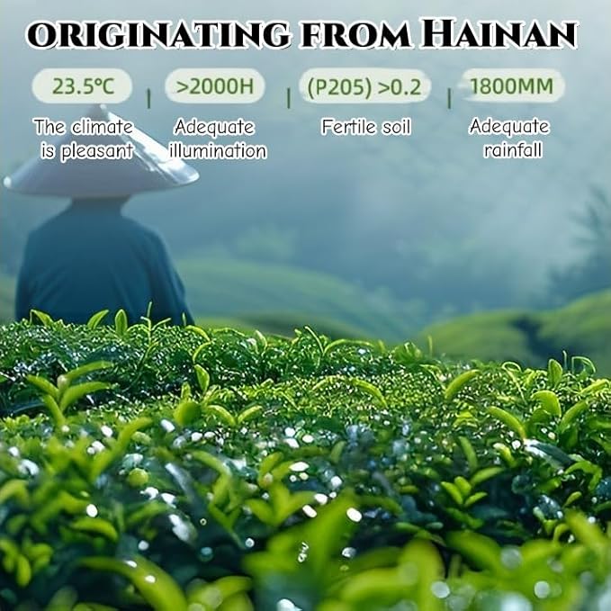 JINQI 2bottles Bitter Tea Kuding- 苦丁茶 大叶苦丁茶4.93oz/140g(2.46oz/70g*2) Chinese Herbal Green Tea Clearing Heat Holiday Gifts Tea Gifts