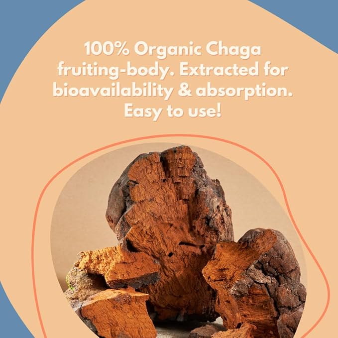 Chaga Extract Powder by Malama Organic Fruiting Body Chaga Mushroom Powder Superfood Adaptogenic Supports Immune System Skin Health and Fatigue 100 Servings