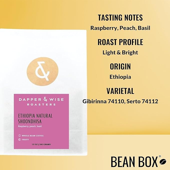 Bean Box Sampler - Roasted by Dapper &amp Wise 3-Pack Whole Bean Coffee Gourmet Coffee