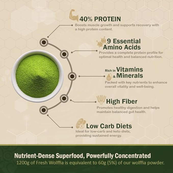 Premium Dried Wolffia globosa Superfood | Low Carb High Protein 40% | Rich in Minerals Vitamins A E B12 &amp Essential Amino Acids | The Future of Sustainable Plant-Based Nutrition 2.11 oz (60g)