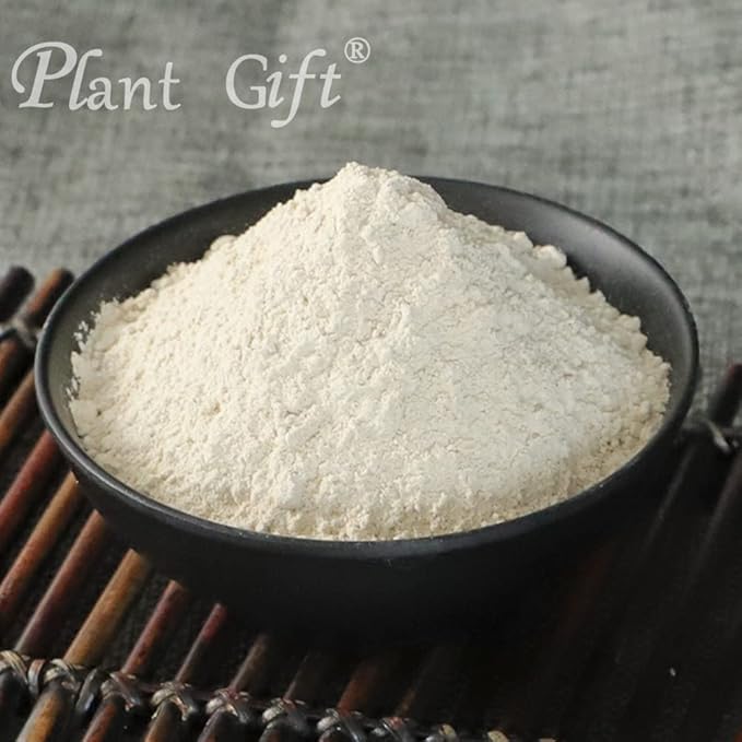Plant Gift 100% Pure Angelica Dahurica Powder 白芷粉 Natural Angelica Flour Dong Quai Root Powder for Drinks Adds Flavor and Taste Non-GMO Powder No Filler No additives 100G/3.25oz