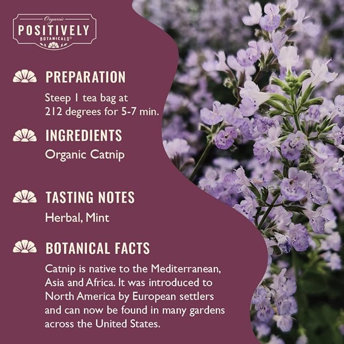 Organic Positively Botanicals Company Catnip Herbal Tea Bags 100 Count Eco-Friendly Tea Bags Non-GMO