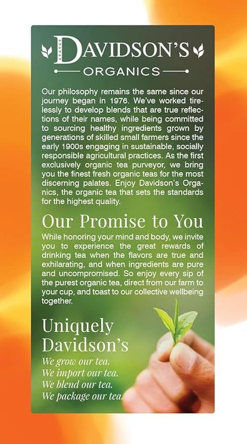 Davidson's Organics Cinnamon Apple 25-count Tea Bags Pack of 6