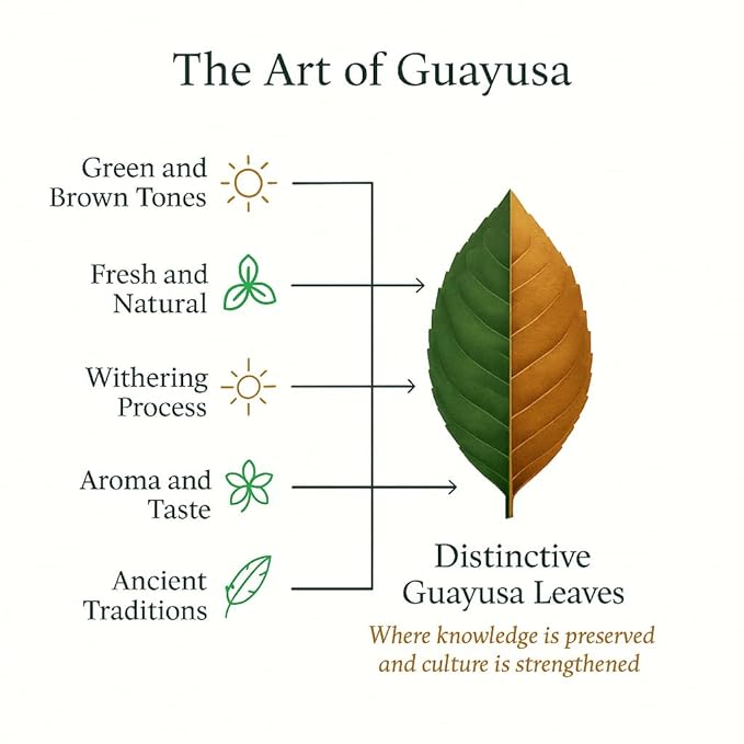 Guayusa Extra Fine Loose Leaf Tea by PACHA | 115mg Caffeine | Naturally High in Antioxidants L-Theanine &amp Theobromine | Sustained Energy Herbal Tea