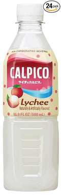 CALPICO Lychee Non-Carbonated Drink Japanese Beverage Contains Lychee Juice Concentrate Sweet and Tangy Asian Drink 16.9 FL oz. (Pack of 24)