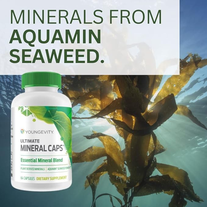 Youngevity Ultimate Mineral Caps™ - 70+ Essential Full Spectrum Trace Minerals - Nutrient-Dense Derived from Humic &amp Aquamin Seaweed (64 Capsule)