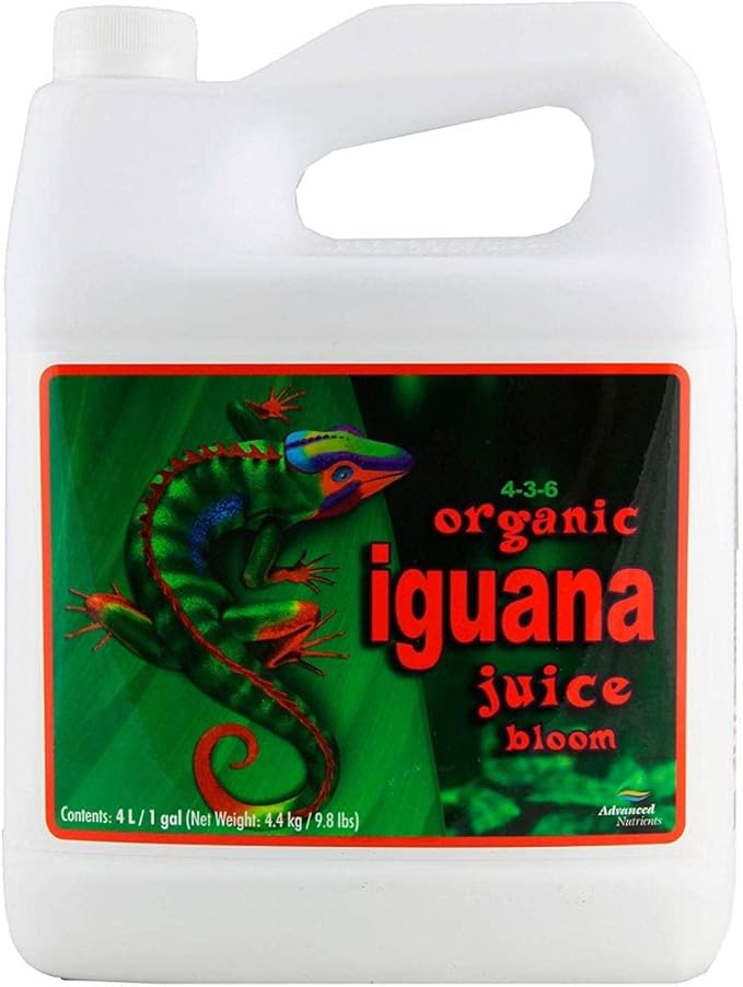 Iguana juice organic bloom