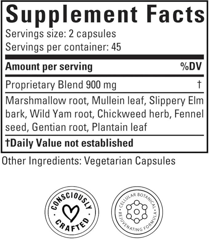 Doctor Morse's GI Daily - Gut Cleanse - Digestive Support - Intestinal Overall Gut Support - Naturopath Formulated - Marshmallow Root Slippery Elm Bark Mullein Leaf - 90 Capsules - 45 Day Supply