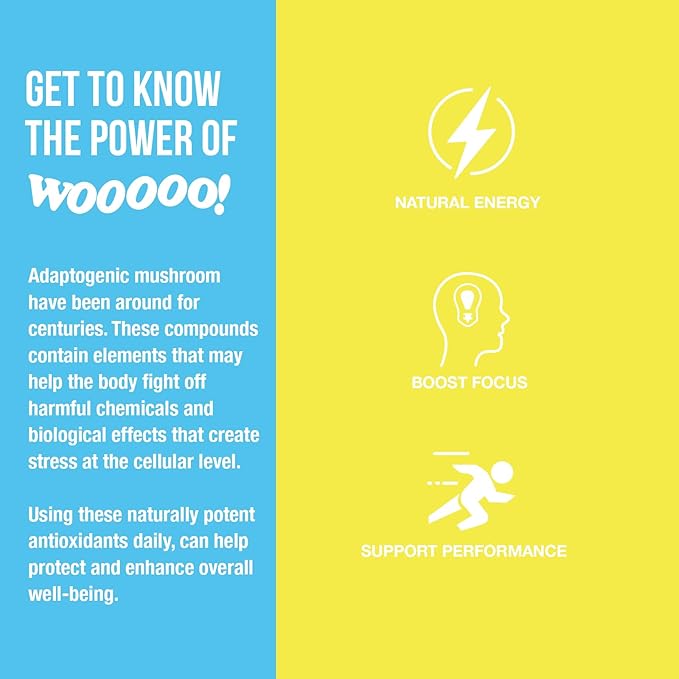 Wooooo! Energy Ric Flair Sparkling Adaptogenic Mushroom Energy Drink | Natural Antioxidants &amp Nootropics | Lion’s Mane &amp Cordyceps | 150mg Caffeine | 12 Pack (Lemon)