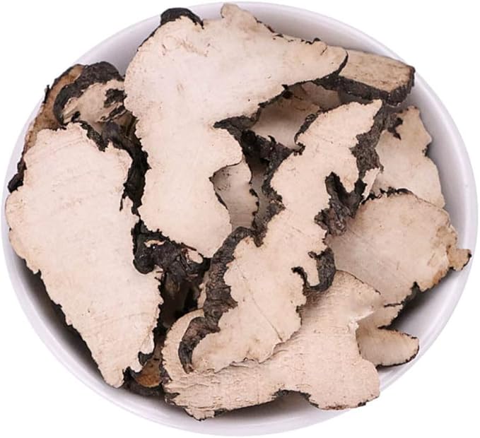 Polyporus Umbellatus Grifola Umbellata Zhu Ling Natural Organic 500 Grams Bulk Herbs.