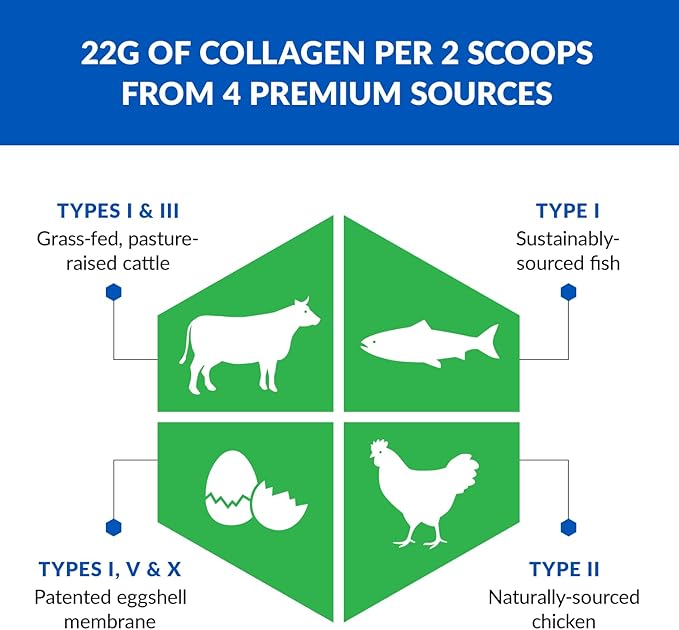 BioTrust Collagen Powder with Turmeric – 5 Types (I II III V X) – Turmeric Collagen Powder for Women &amp Men – Hydrolyzed Protein – Grass Fed Beef Fish Chicken Eggshell Membrane (Golden Milk)