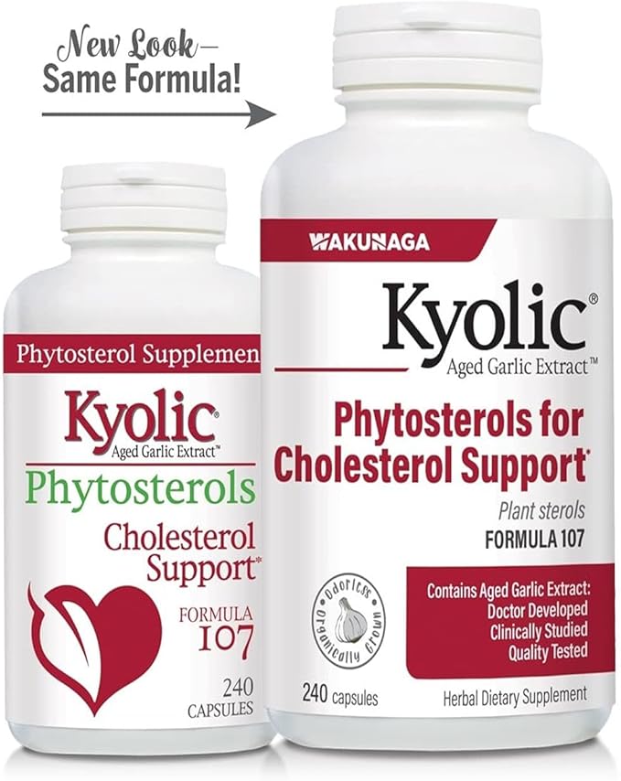 Kyolic Aged Garlic Extract Formula 107 Phytosterols for Cholesterol Support* 240 Capsules