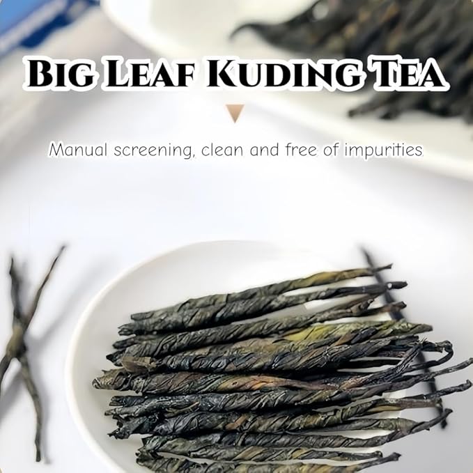 JINQI 2bottles Bitter Tea Kuding- 苦丁茶 大叶苦丁茶4.93oz/140g(2.46oz/70g*2) Chinese Herbal Green Tea Clearing Heat Holiday Gifts Tea Gifts