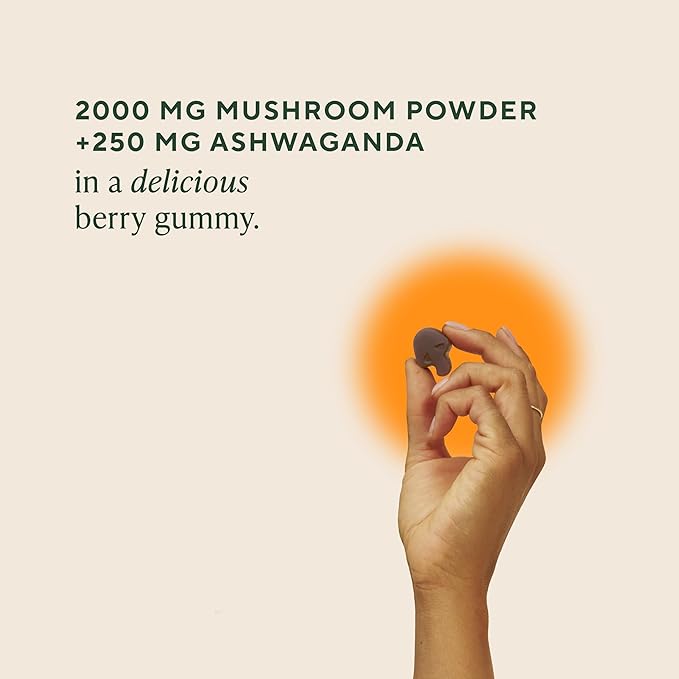 OM MUSHROOM SUPERFOOD Master Blend Mushroom Gummies – Organic 10-Mushroom Complex with Ashwagandha – Supports Immunity Gut Health &amp Stress Relief – Mixed Berry Flavor – 28 Servings 56 Count.