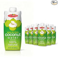CocoKing Thai Coconut Water – Pure Nam Hom Coconuts – Natural Electrolyte Drink – No Added Sugar Not from Concentrate 16.9 Fl Oz (Pack of 12)
