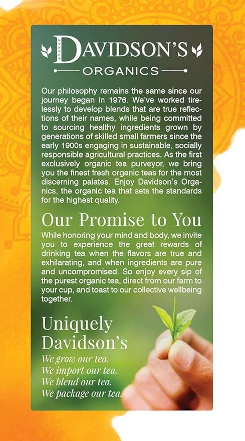 Davidson's Organics Herbal Classic Chai 25-count Tea Bags Pack of 6