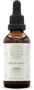 HerbEra Marshmallow B60 Alcohol-Free Herbal Extract Tincture Concentrated Liquid Drops Natural Marshmallow (Althaea Officinalis) (2 fl oz)