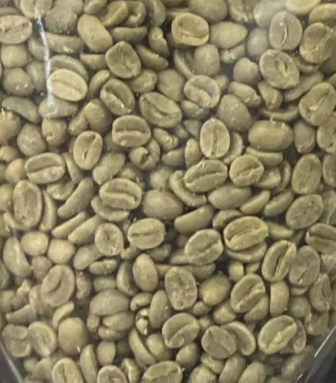 Single Origin Unroasted Green Coffee Beans From El Salvador Specialty Grade Finca Portezuel Bourbon and Caturra Varietals (5 lbs El Salvador Honey)