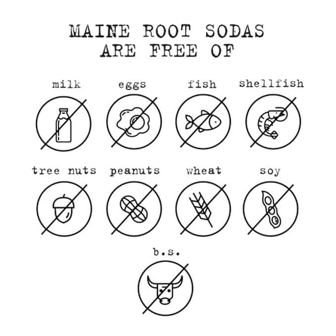 Maine Root Soda - Fair Trade Craft Soda in Glass Bottles (Blueberry 12 Pack)
