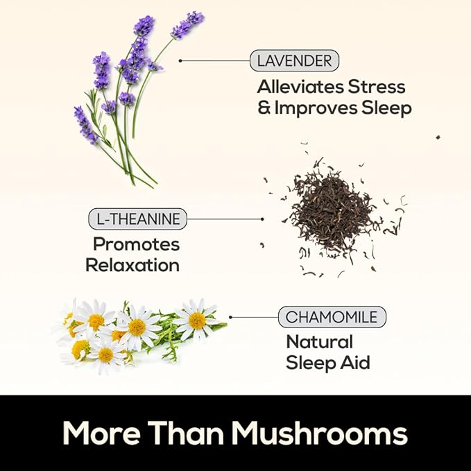 TrueMushroom - Sleep Support Mushroom Gummy Supplement with Melatonin for Sleep and Relaxation with Lion’s Mane Cordyceps Reishi Shiitake. All-Natural BlackBerry Flavor Gummies (60 Count)