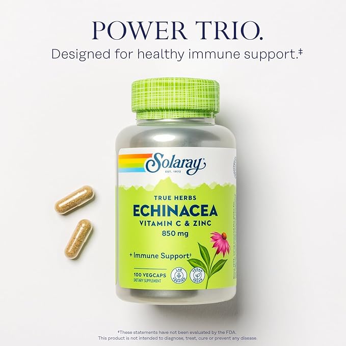 SOLARAY Echinacea Vitamin C and Zinc Wellness Formula - Immune Support Supplement - Echinacea Capsules with Vitamin C 500mg Plus Bioflavonoids Vegan 60-Day Guarantee 50 Servings 100 VegCaps