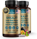 Shilajit Pure Himalayan Organic Capsules with Irish Sea Moss Ashwagandha Copper Beet Root - Fulvic Acid Trace Minerals Supplement for Men &amp Women - 90 Count Non-GMO Gluten-Free