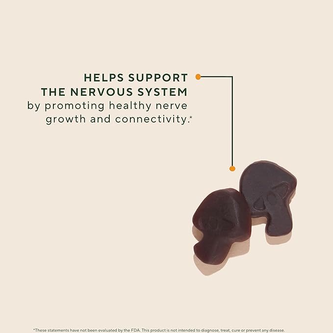 OM MUSHROOM SUPERFOOD Lion’s Mane Mushroom Gummies – USA Grown Organic Lion’s Mane – Supports Memory Focus &amp Cognitive Health – Strawberry Flavor – 30 Servings 60 Count.