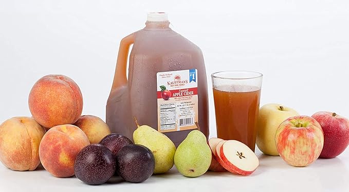 Kauffman's Fruit Farm Orchards Homemade Fresh-Pressed Apple Cider Frozen for Shipping 0.9 Gallon