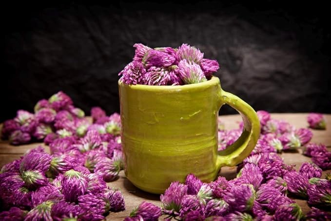 Health Embassy Red Clover Flower | Trifolium Pratense L | Herbal Tea (50g)