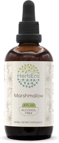 HerbEra Marshmallow Root B120 Alcohol-Free Herbal Extract Tincture Super-Concentrated Marshmallow (Althaea Officinalis) (4 fl oz)