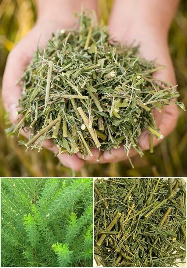 Organic Natural Pure Lespedeza Cuneata Extract Powder -10.58 Ounce (300g)