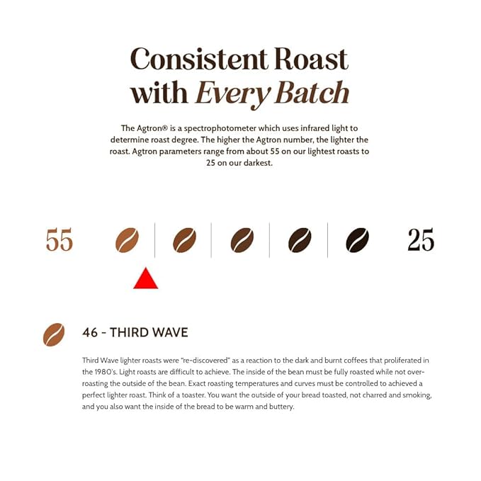 Boxer Coffee Light Roast Whole Bean – Colombian Nariño Breakfast Blend 2.5 LB Bag – Third Wave Specialty Grade Gourmet Artisan Coffee