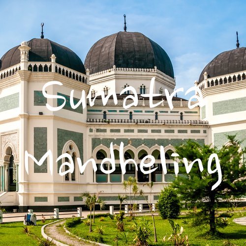 Sumatra Mandheling Coffee Beans USDA Organic Medium Roast Ground Fresh Roasted 5 lbs