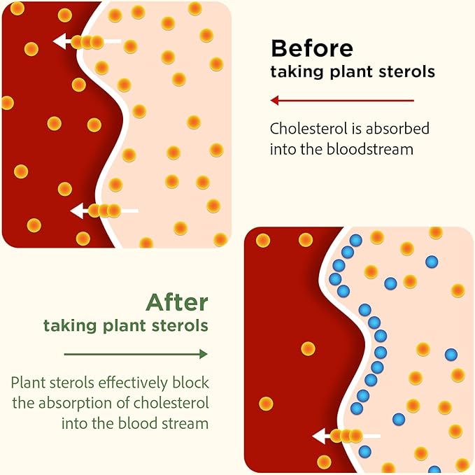 Advanced Cholesterol Lowering Supplements &amp for High Cholesterol | Liquid-Filled Capsules for Maximum Absorption | Plant Sterols Policosanol Bergamot Extract | Triple-Action Formula90 Capsules