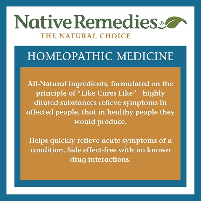 Native Remedies Good Night Sleep for Relief of Occasional Sleeplessness 2 fl. oz.