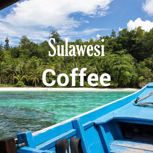 Sulawesi Coffee Celebes Kalossi Whole Bean Fresh Roasted 16-ounce