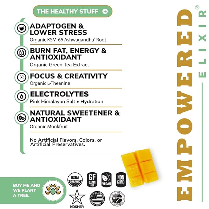Organic Mango Energy &amp Focus Drink | Green Tea Extract (Natural Caffeine) L-Theanine Ashwagandha Electrolytes |12oz. Cans (Pack of 12)