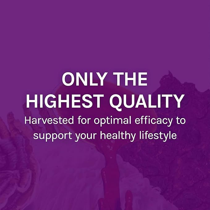 Host Defense MyCommunity Extract - 17 Species Blend Mushroom Supplement for Immune Support - Extract with Lion's Mane Reishi. Chaga Cordyceps Turkey Tail &amp More - 4 fl oz (120 Servings)*
