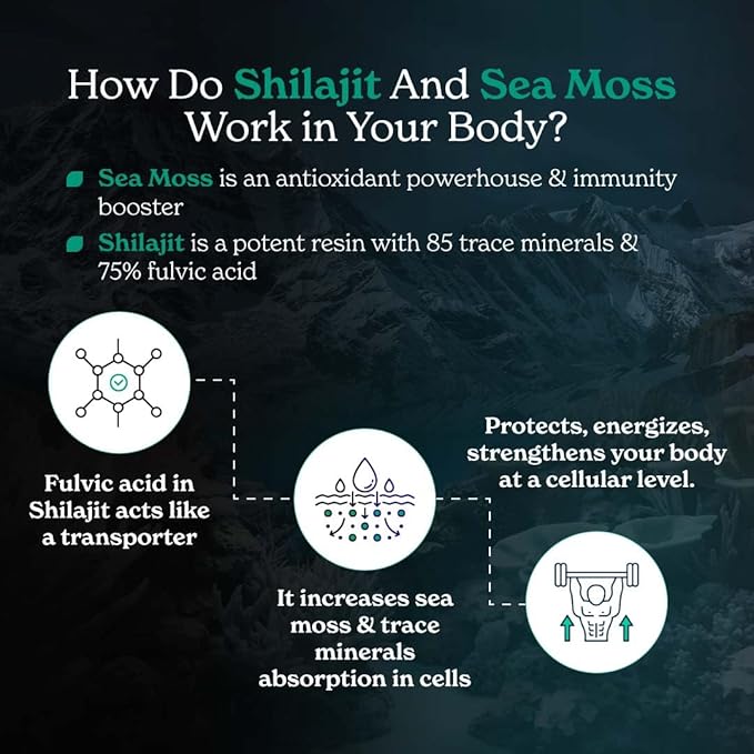 Better Alt Shilajit Sea Moss Capsules Pack of 2 with Ashwagandha &amp Black Pepper Extract with 85+ Essential Minerals &amp Antioxidants| Boosts Energy &amp Metabolism - 120 Servings 240 Capsules