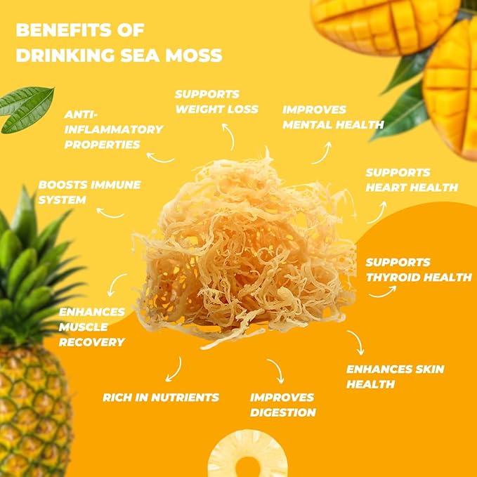 Nourish Kings- Sea Moss drink with Mango Pineapple and Orange Juice No Added Sugars or Preservatives 12 pack of 15.2 Fl oz Bottles